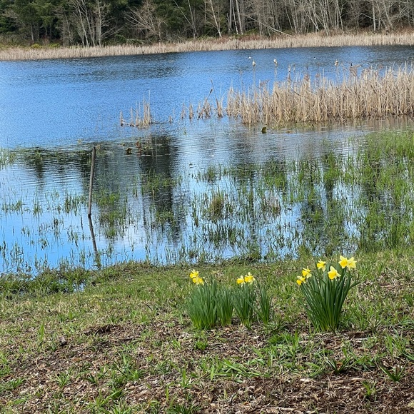 Meet your Posher, Robyn - Picture 1 of 2